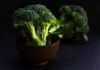 Brain foods to nowy kulinarny hit. Te dania poprawią działanie twojego mózgu Brain foods to nowy kulinarny hit. Te dania poprawią działanie twojego mózgu