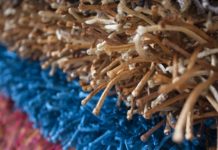 Pięć sposobów na wyczyszczenie dywanu z długim włosiem