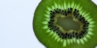 kiwi