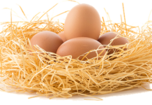 Jajka mogą powodować alergię pokarmową