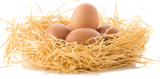 Jajka mogą powodować alergię pokarmową