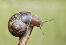 Gdzie znajduje się czujnik temperatury paliwa?