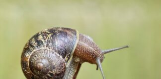 Jak wyczyścić czujnik ciśnienia paliwa?