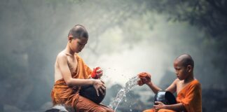 Ile kosztuje czyszczenie pompowtryskiwaczy?