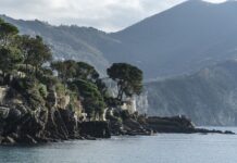 Ile kosztuje wymiana pokrycia dachowego?