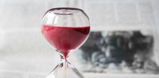 W jakich godzinach najlepiej karmić rybki?