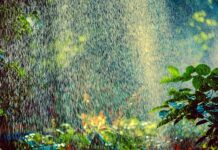 Ile zraszaczy na 1000m2? Ile zraszaczy na 1000m2?