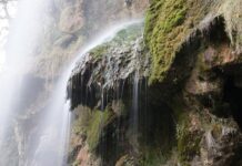 Jaki jest obieg oleju w silniku? Jaki jest obieg oleju w silniku?